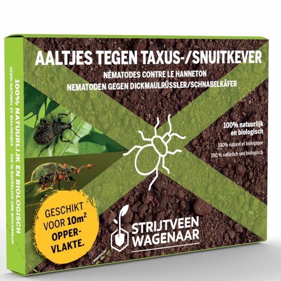 Aaltjes tegen Taxuskever en Snuitkever 10m² - Biologische bodeminsecten bestrijding - Taxuskever bestrijden - Afweermiddelen