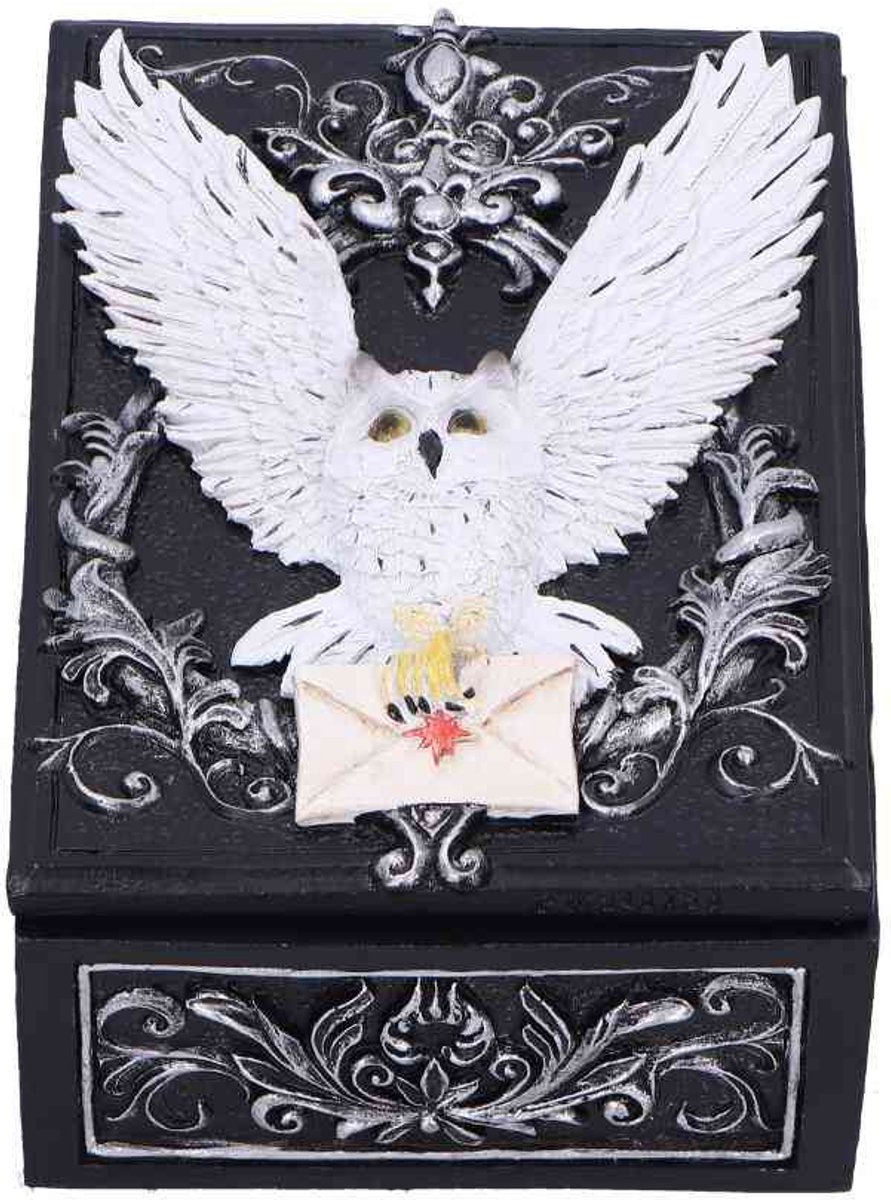 Nemesis Now - Owl Messenger Decoratieve opbergdoos - Multicolours