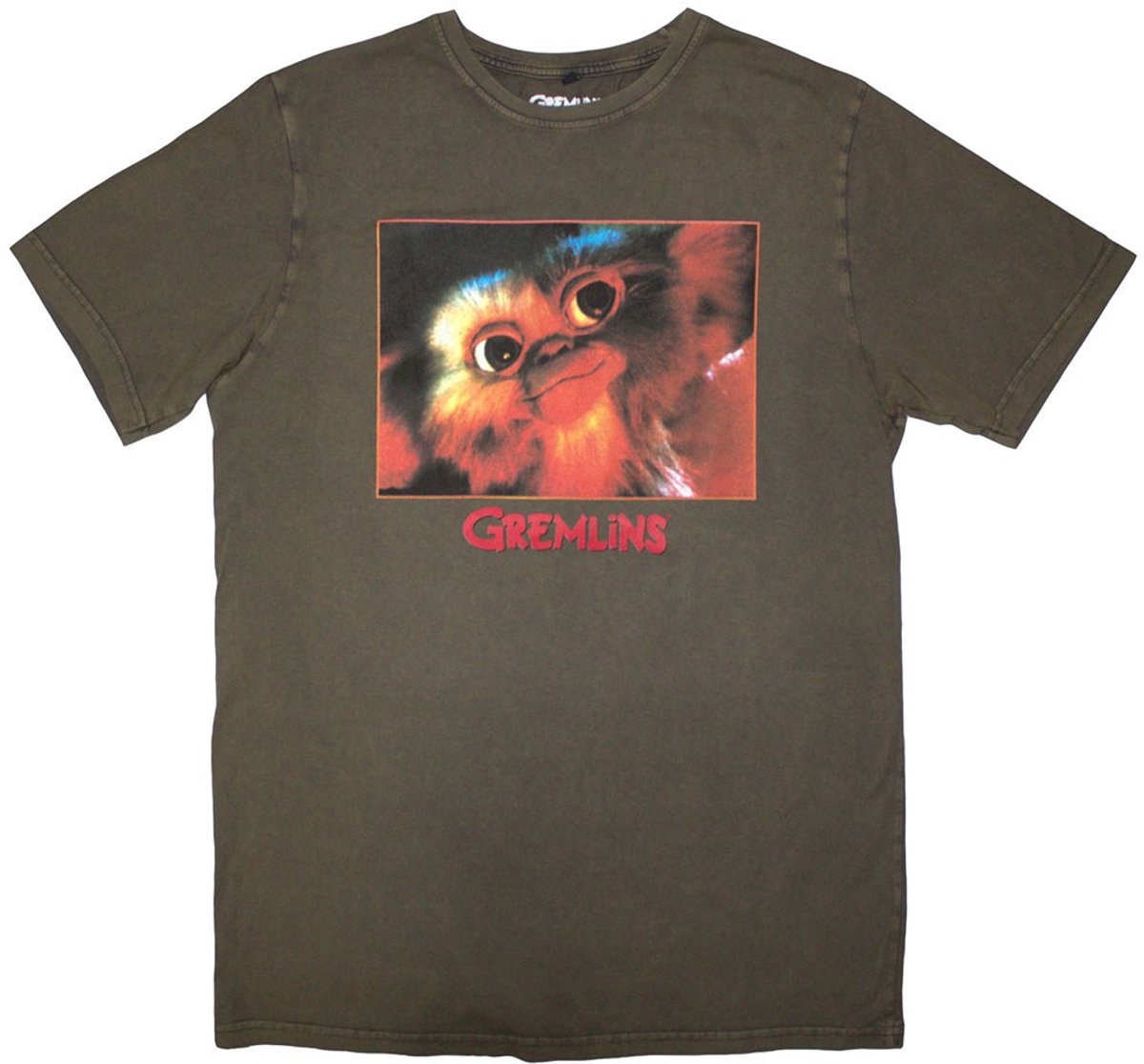 Gremlins - Gizmo Photo Heren Tshirt - 2XL - Groen