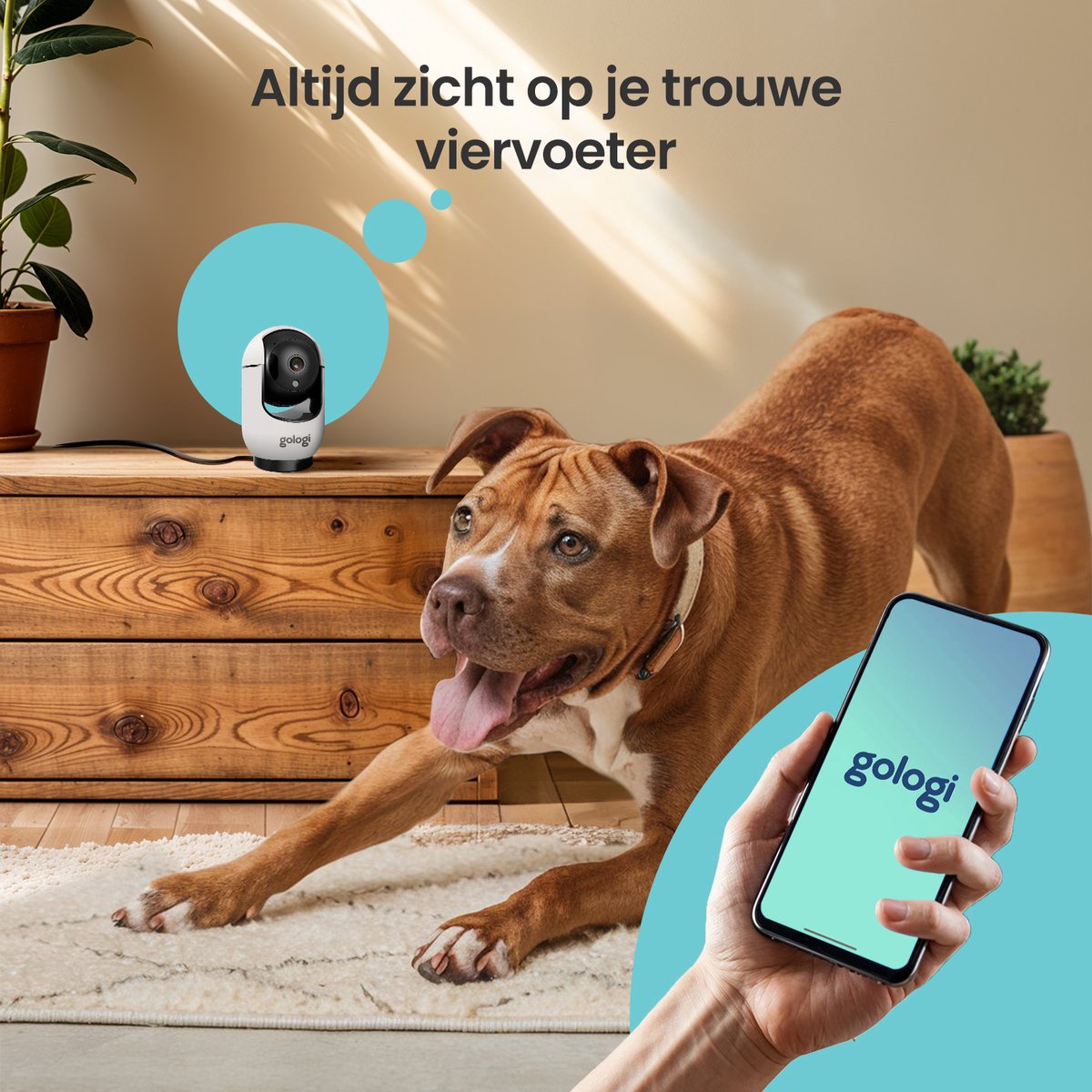 Gologi Beveiligingscamera 2K Huisdiercamera met App - afbeelding 3