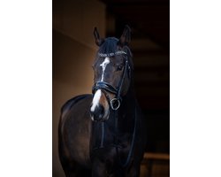 HB Hoofdstel It is So Special Zwart-Zwart - Full | Rood | Hoofdstel paard