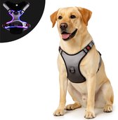 Harnais pour chien Premium Pets - Harnais pour chien Y - Harnais pour chien - Harnais pour chien anti Trek - Lumineux - Réfléchissant - L