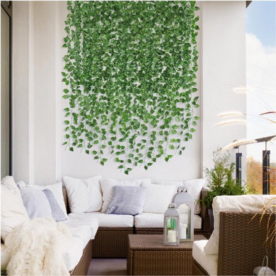 Beste klimop voor je tuin | 11 klimplanten voor een groene muur