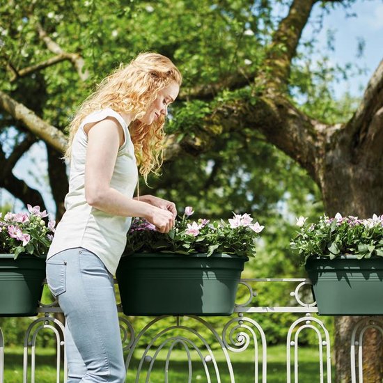 Elho green basics flower bridge 55cm blad groen