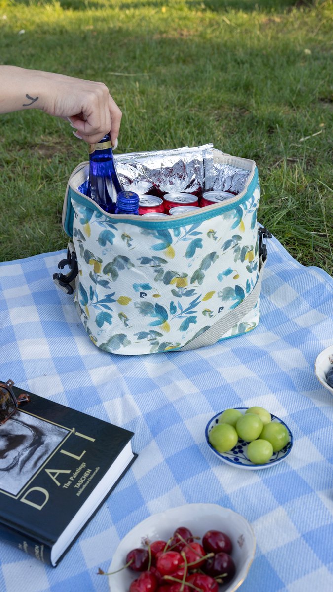 Geïsoleerde Koeltas| Lunchtas| Thermotas| 10 Liter| Picknicktas| Koeltas voor op reis met draagband van Eono. — afbeelding 4
