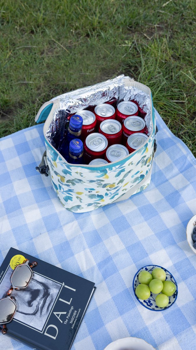 Geïsoleerde Koeltas| Lunchtas| Thermotas| 10 Liter| Picknicktas| Koeltas voor op reis met draagband van Eono. — afbeelding 5