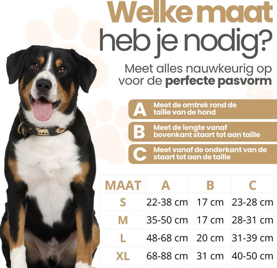 Grote hond met open mond zit voor een maattabel voor hondenbroekjes. Maten S, M, L, XL.