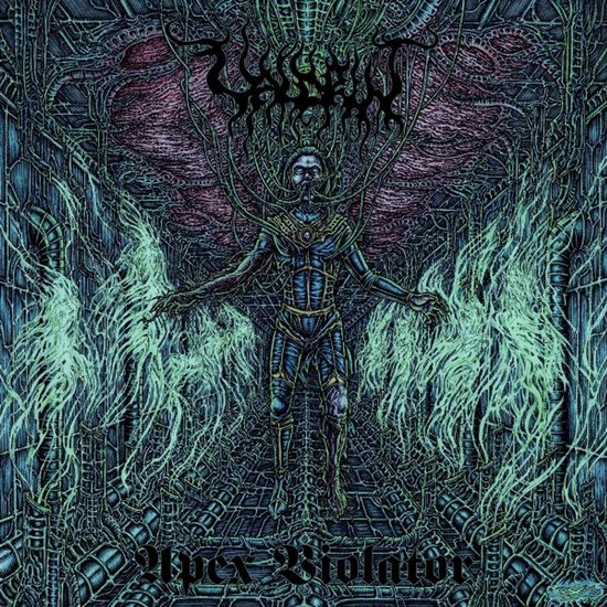 Apex Violator