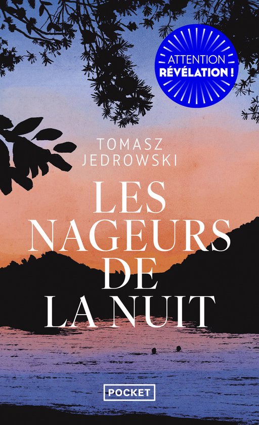 ISBN 9782266339063 boek 256 pagina's - cover