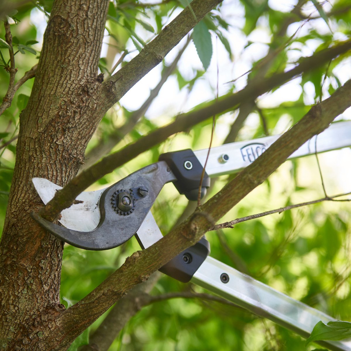 Felco Sécateur 211-60, aluminium 600 mm