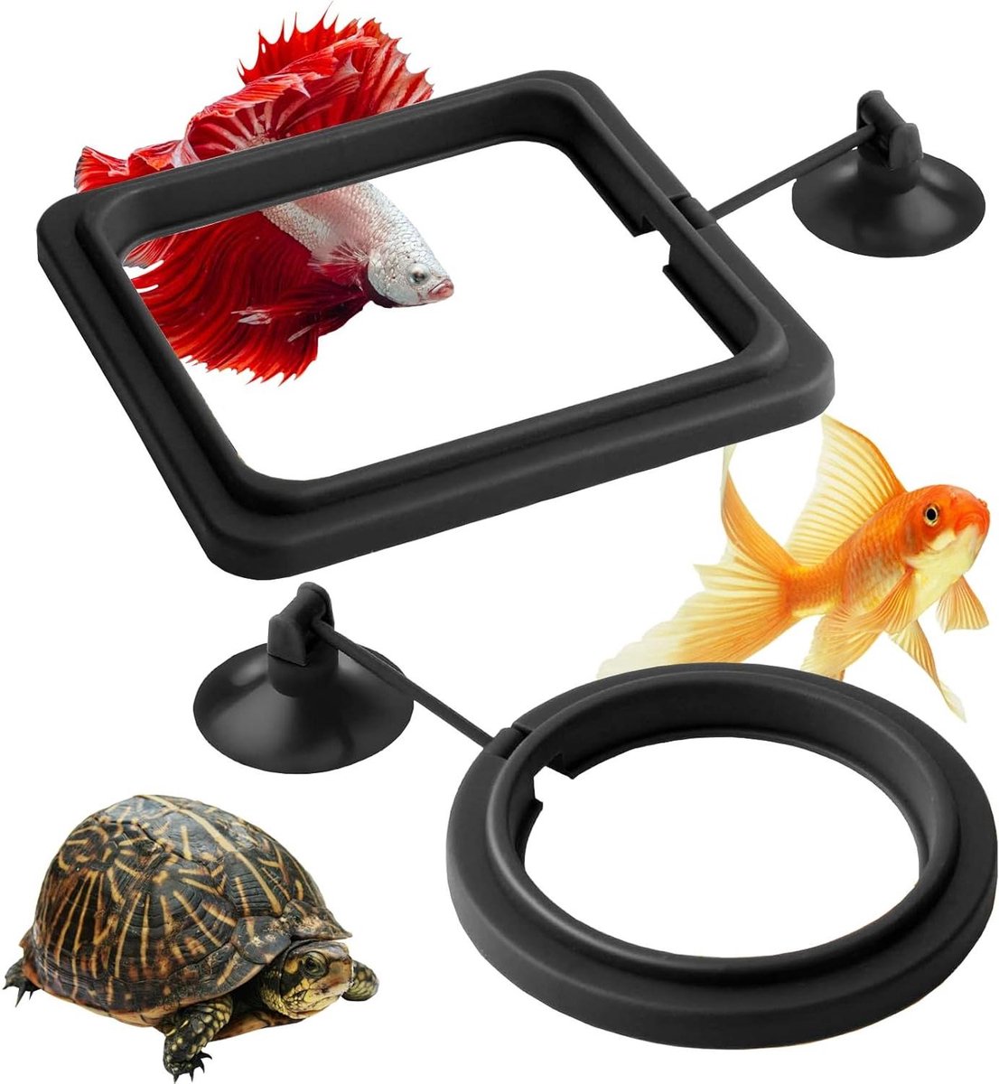 10 Stuks Aquarium Feeder Ring - Voederring voor Visvoedering - Drijvend - Geschikt voor Guppy Bettas, Goudvis en Schildpad (Zwart)