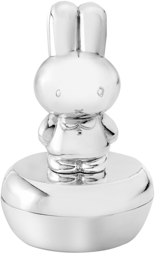 Zilverstad - Tandendoosje nijntje zilver kleur