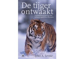 De tijger ontwaakt