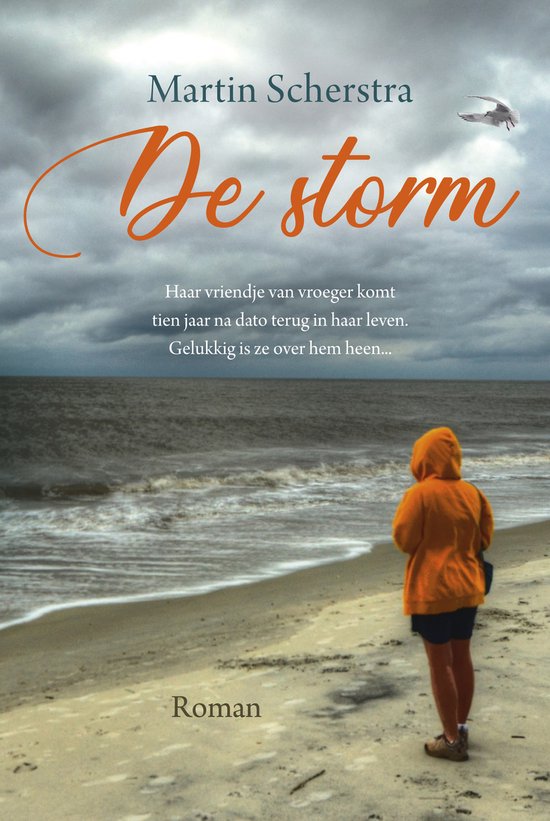 De storm - cover
