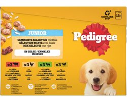 Pedigree Junior Mix Selectie In Gelei - Hondenvoer - 12x100 g
