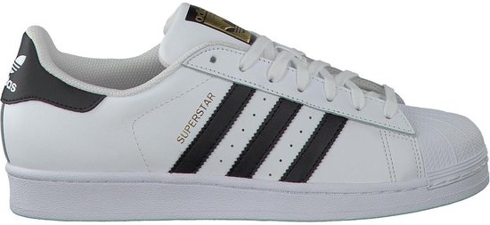 Adidas - Superstar white / 8.0 Adidas - Superstar white / 8.0