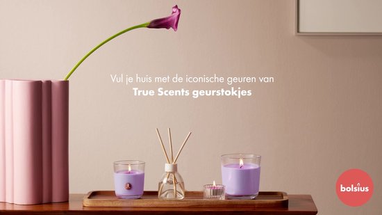 Bolsius True Scents - Bâtons parfumés - Fresh Cotton - 3 pièces - Pack économique - 60 ml