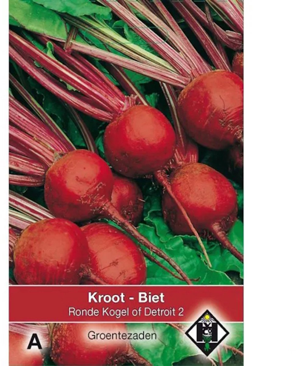 Van Hemert & Co - Biet Kroot Kogel of Detroit 2