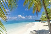 Foto Van Twee Hangende Stoelen Op Palmbomen Op Een Tropisch Strand Het Oudjarige Droombeeld Landschap Met Palmboomvleugel Die Aan Image279049561