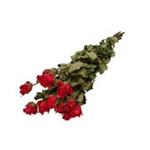 Oranje gedroogde rozen | Rozen droogbloemen | 10 rozen per bos | Lengte 50 centimeter | Per bos te bestellen
