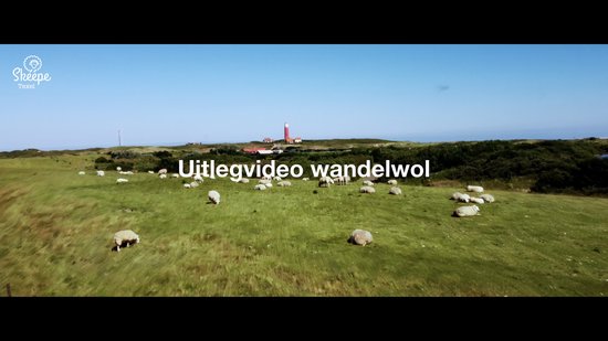 Skéépe Texel - 50 gram - Wandelwol - Wol van Texel - Voorkomt blaarvorming tijdens het wandelen