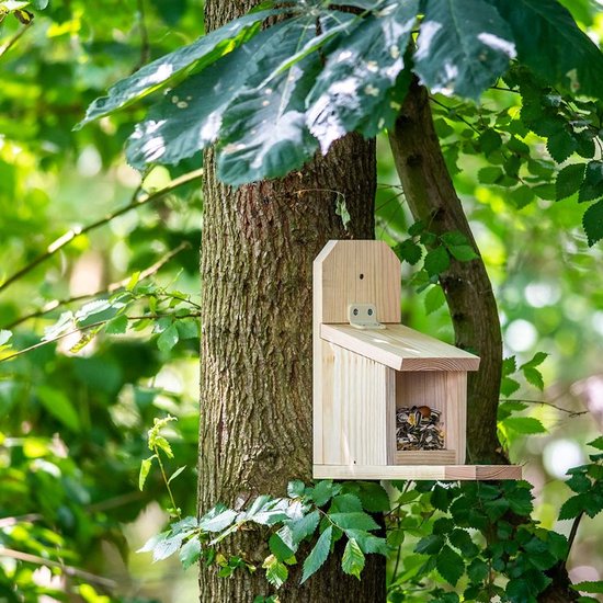 CJ Wildlife - Bouwpakket Eekhoorn Voederhuis Sanjo - Voor kinderen - FSC -gecertificeerd material - Met handleiding