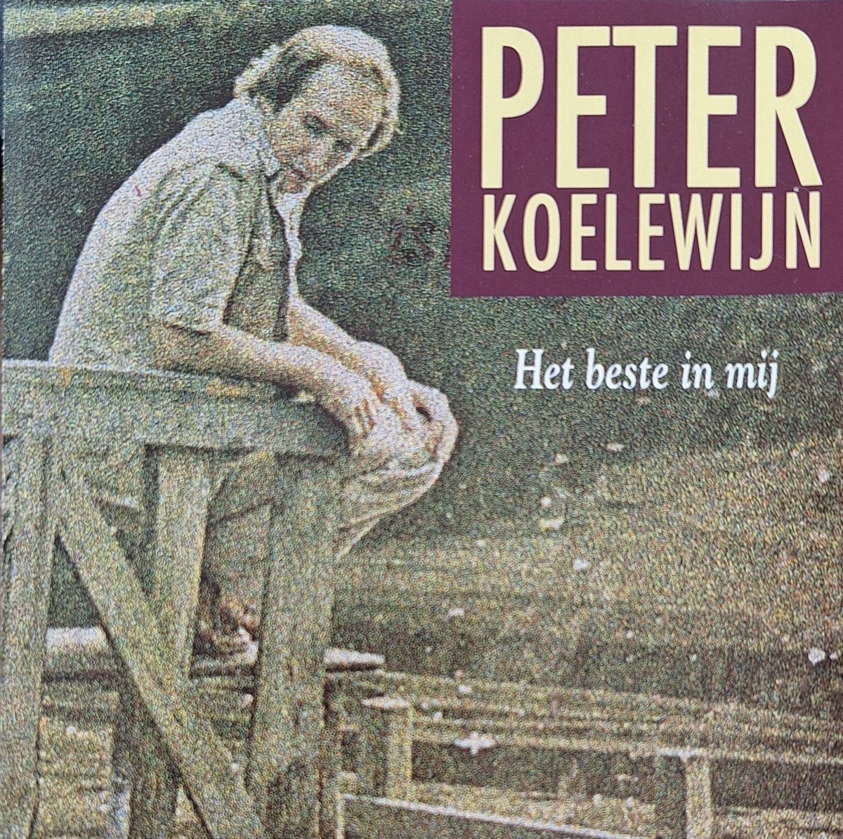 PETER KOELEWIJN HET BESTE IN MIJ