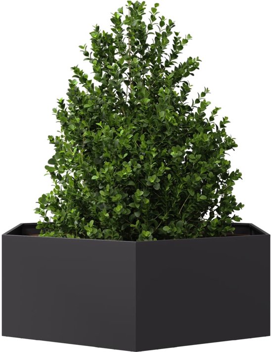The Living Store Jardinière hexagonale 138x120x45 cm acier noir - Pot de fleurs - Jardinière - Décoration de jardin - Jardinière en métal - Jardinière hexagonale