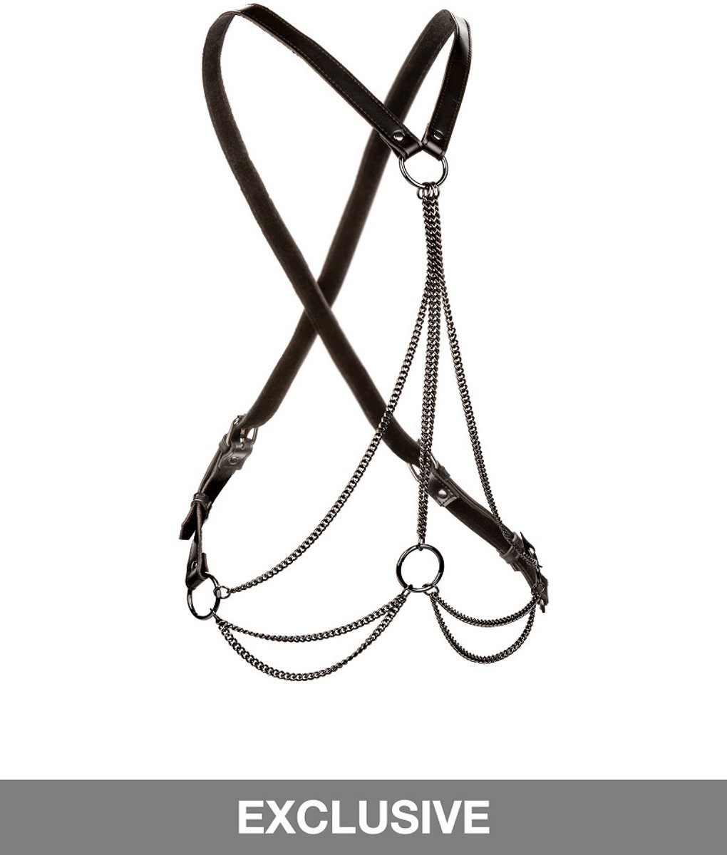 CalExotics - Euphoria Collection - Multi Chain Harness