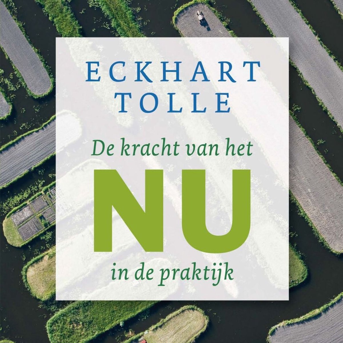 Omslag van De kracht van het Nu in de praktijk