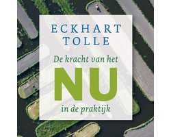Omslag van De kracht van het Nu in de praktijk