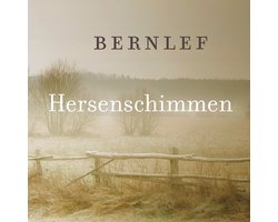 Omslag van Hersenschimmen