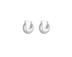 Chunky Moon Oorbellen Zilver - Yehwang - Zilveren Oorbellen - Stainless Steel (verkleurt niet!) - Oorbellen dames - Kerst cadeau - Sinterklaas cadeau - Valentijn - Moederdag - Oorbellen voor tieners