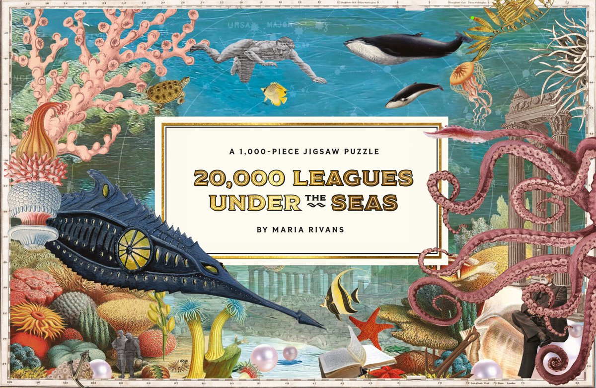 20,000 Leagues Under The Seas
