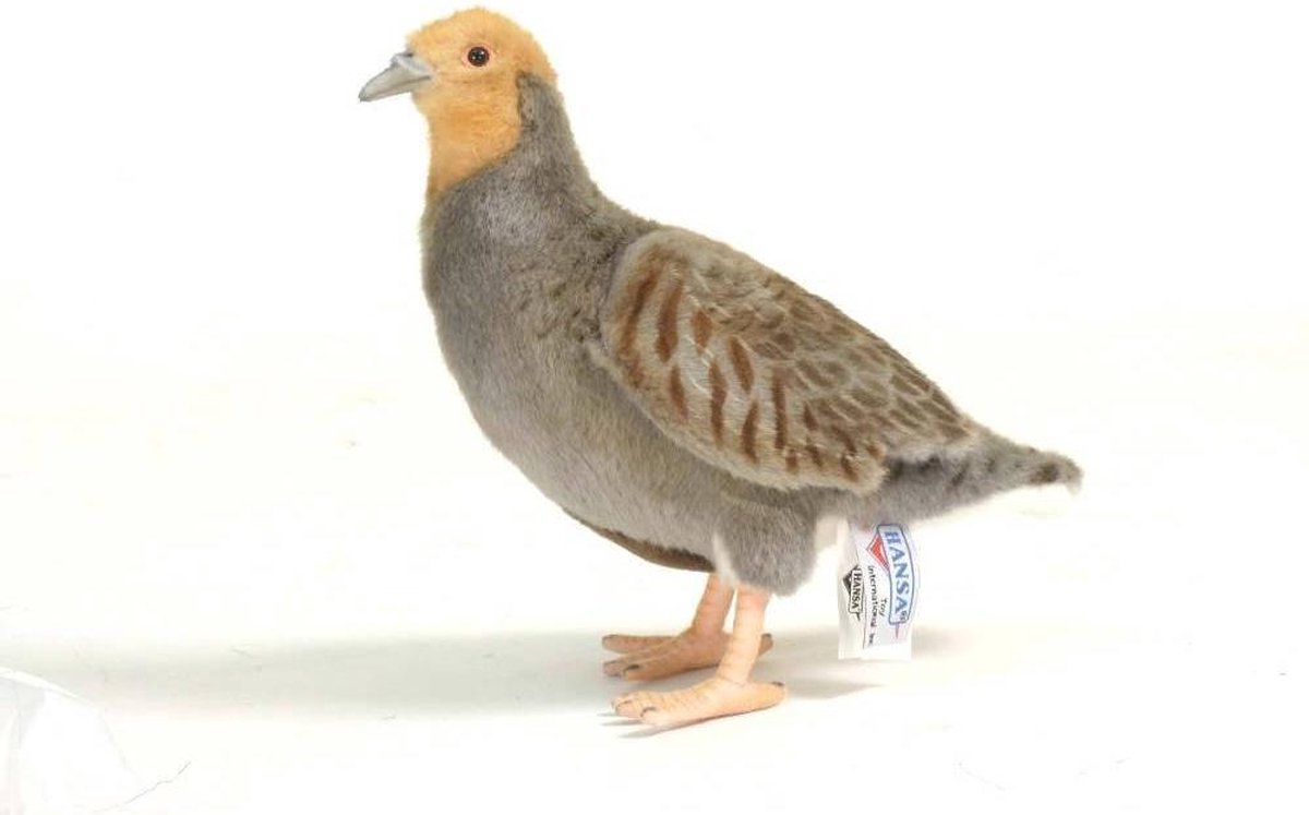 Hansa pluche patrijs knuffel - vogel - 26 cm - dieren