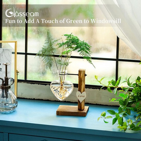 Transparante Glazen Vaas Thuis Kleine Hydrocultuur Plant Glazen Fles Woonkamer Decoratie Gedroogde Bloem Woondecoratie Bloem Vazen