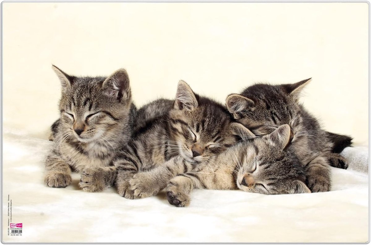 Bureauonderlegger Katten 40 x 60 cm - Antislip en Afveegbaar