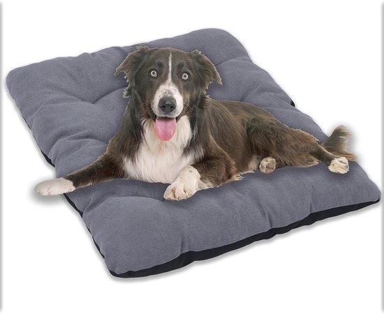 MyBestBuddy Hondenkussen Comfort S Lichtbruin / Beige 60x40 Cm Allergievriendelijk 40 C Wasbaar Met Pluizige Stoffen Bekleding Hondenmat Of Hondenbed Voor Kleine Honden 60 X Cm 1570565330