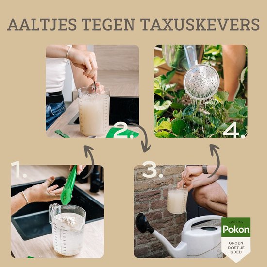Taxuskever bestrijden in de lente