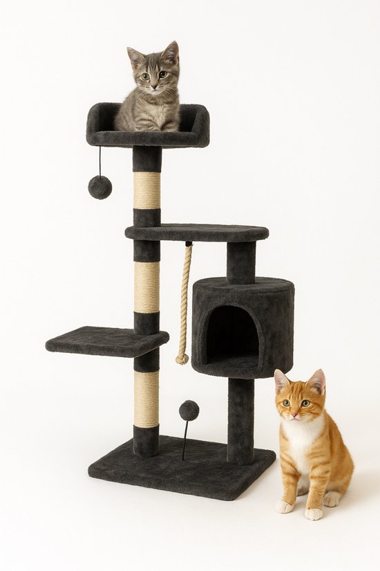 Kattenhuis: De ultieme schuilplek voor jouw kat