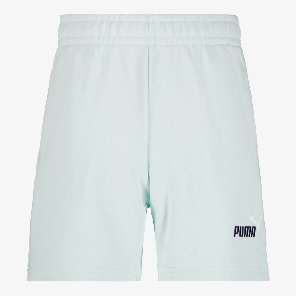 Puma ESS 2 Color No. 1 Logo Sweatshort Junior Blauw
