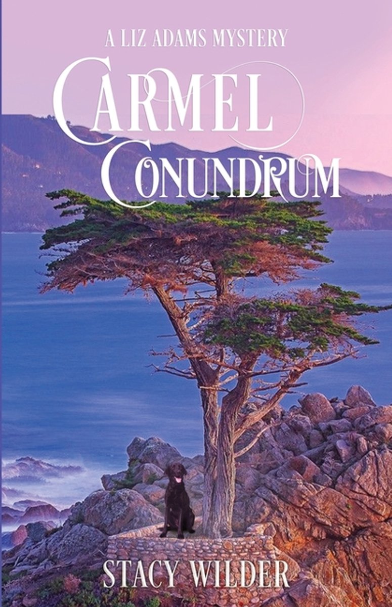 Carmel Conundrum van Stacy Wilder