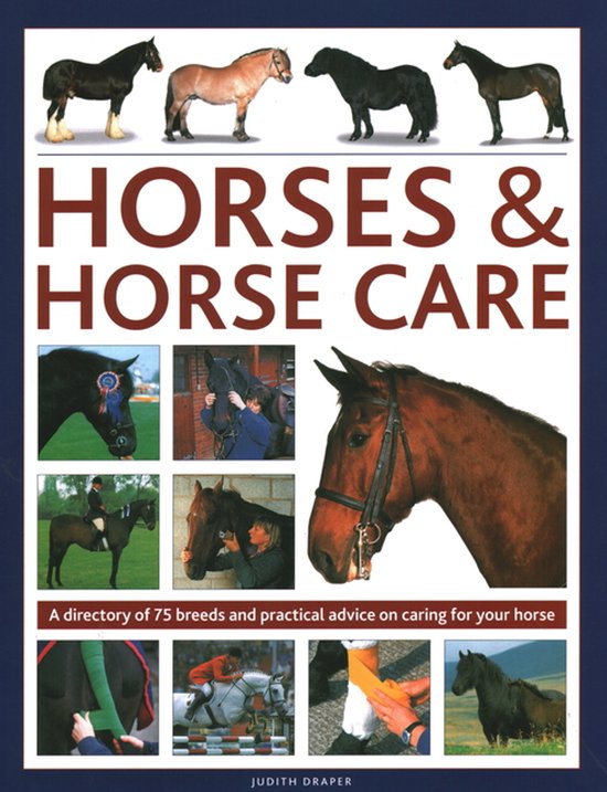 Horses & Horse Care - cover