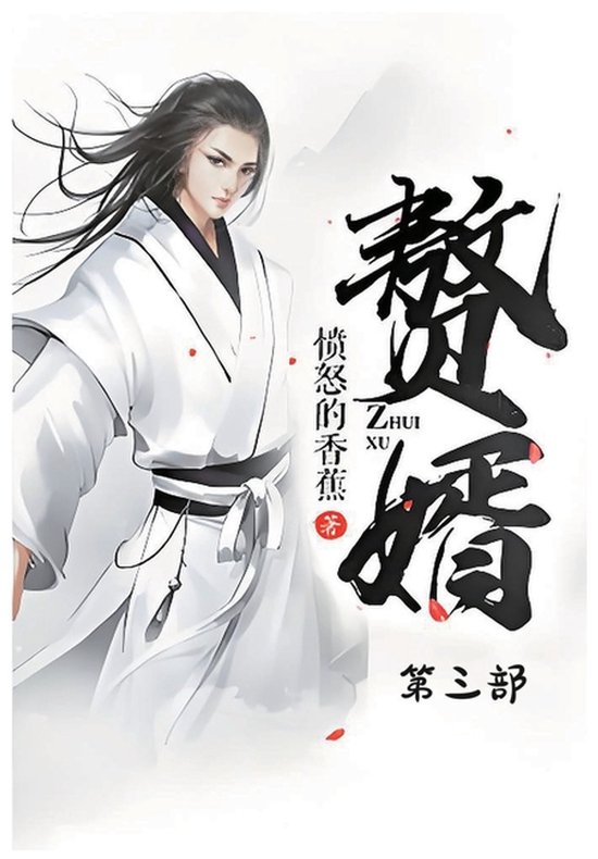 赘婿：第三部