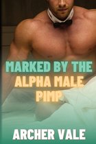 Gay Submission Erotica: Edging and Ownership- Marked by the Alpha Male Pimp
