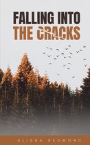 Falling Into The Cracks