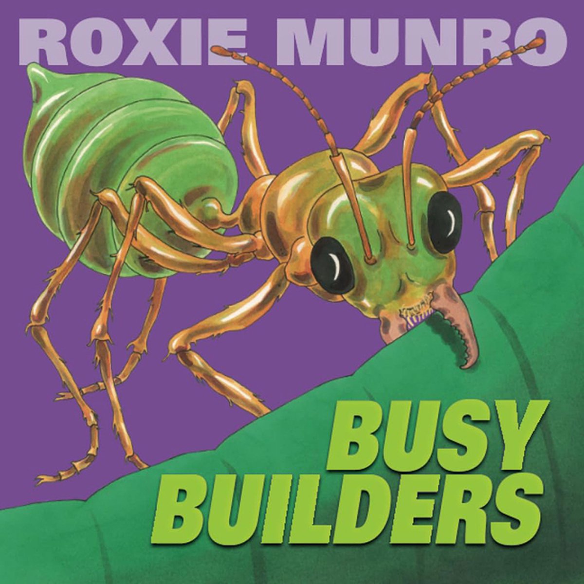Busy Builders van Roxie Munro