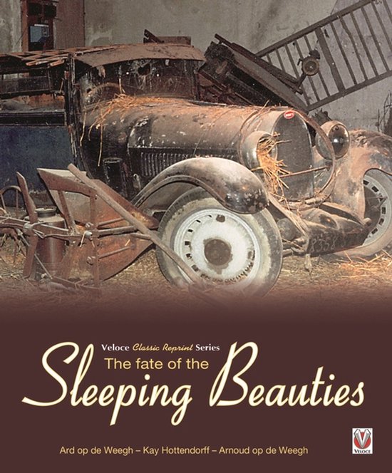 The Fate of the Sleeping Beauties - cover