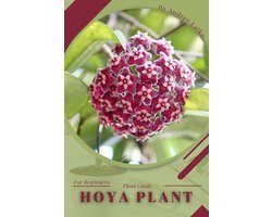 Hoya plant