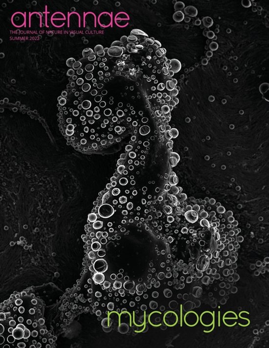 Antennae The Journal of Nature in Visual Culture, Summer 2022, mycologies. Gros plan d'une structure fongique avec des bulles.